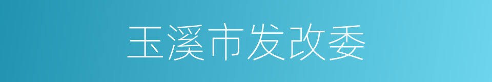 玉溪市发改委的同义词