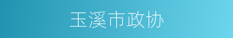 玉溪市政协的同义词