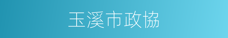 玉溪市政協的同義詞
