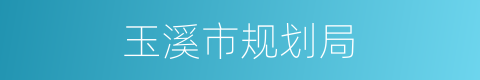 玉溪市规划局的同义词