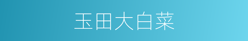 玉田大白菜的同义词