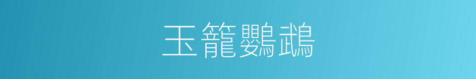 玉籠鸚鵡的同義詞