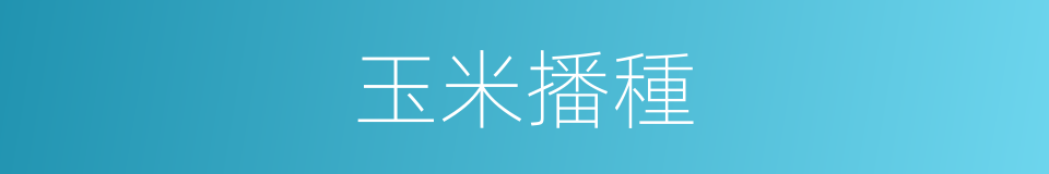 玉米播種的同義詞