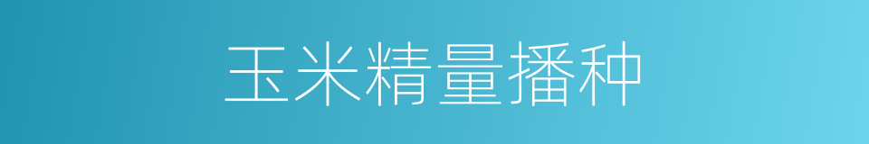 玉米精量播种的同义词