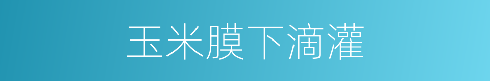 玉米膜下滴灌的同义词