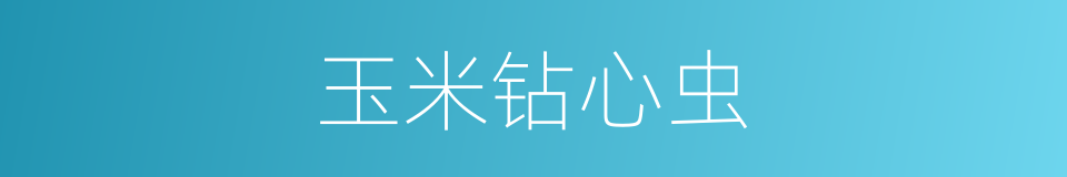 玉米钻心虫的同义词