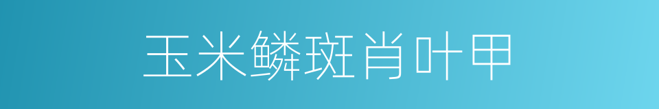 玉米鳞斑肖叶甲的同义词
