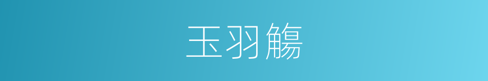 玉羽觴的同義詞