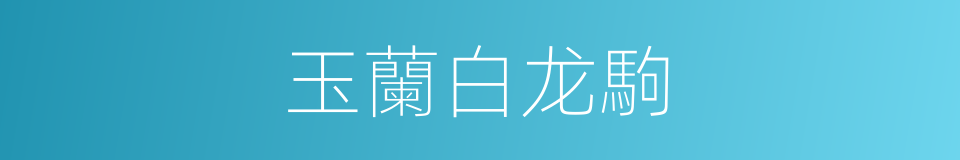 玉蘭白龙駒的同義詞