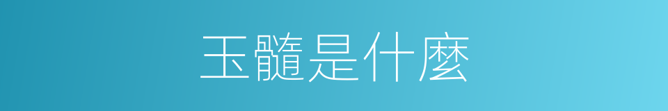 玉髓是什麼的意思