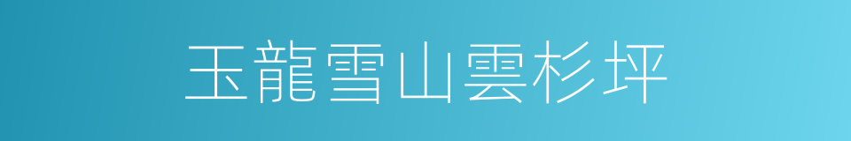 玉龍雪山雲杉坪的同義詞