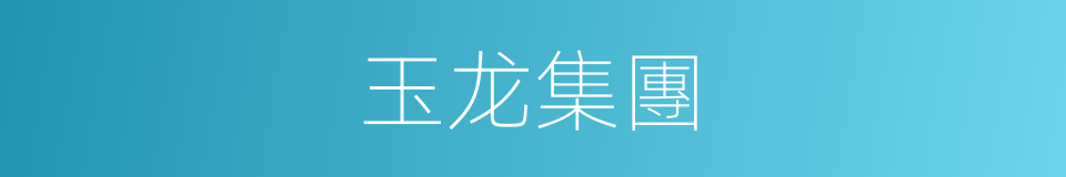 玉龙集團的同義詞