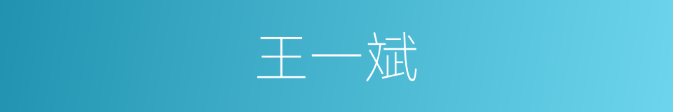 王一斌的同义词