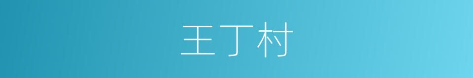 王丁村的同义词