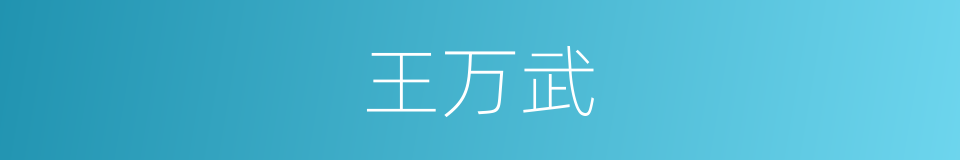 王万武的同义词