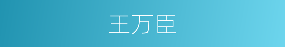 王万臣的同义词