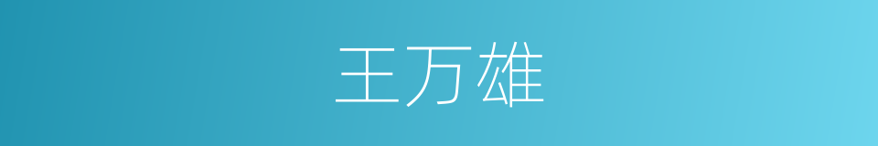 王万雄的同义词