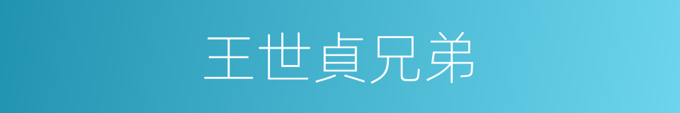 王世貞兄弟的同義詞