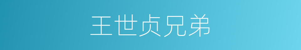 王世贞兄弟的同义词
