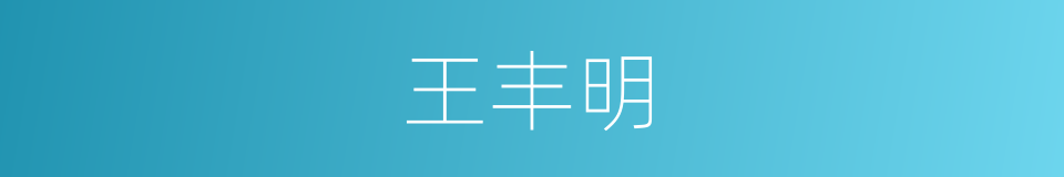 王丰明的同义词