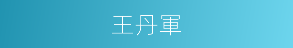王丹軍的同義詞