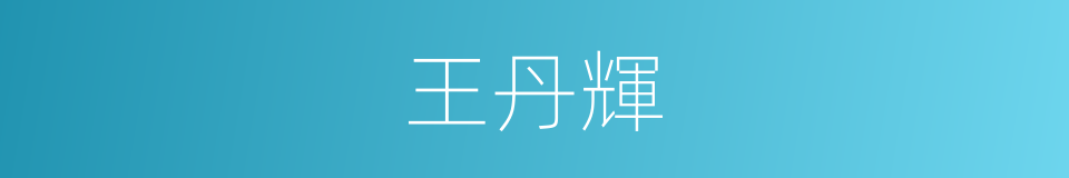 王丹輝的同義詞