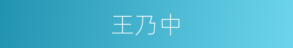 王乃中的同义词