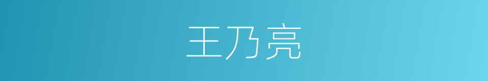 王乃亮的同义词