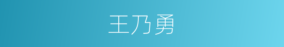 王乃勇的同义词