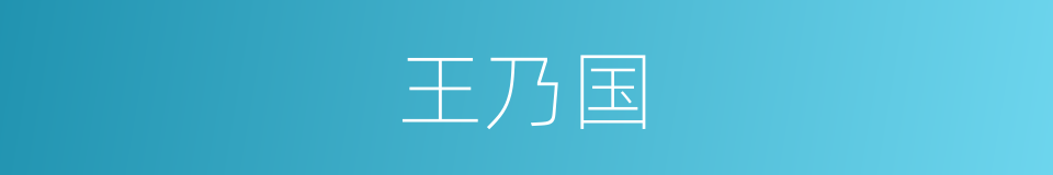 王乃国的同义词