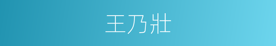 王乃壯的同義詞