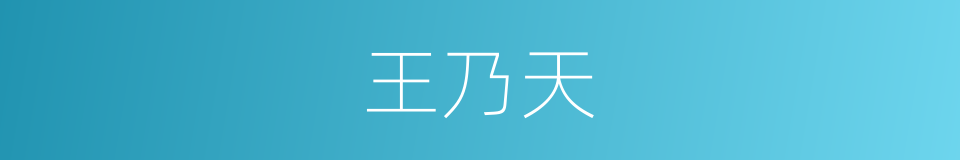 王乃天的同义词