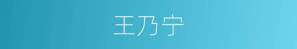 王乃宁的同义词