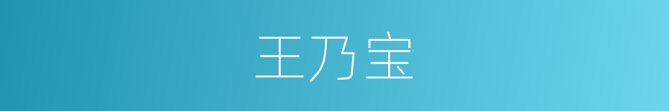 王乃宝的同义词