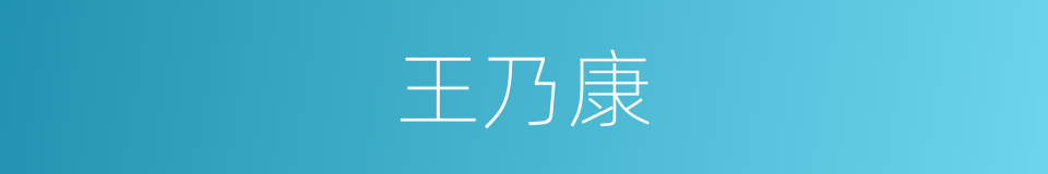 王乃康的同义词