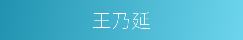 王乃延的同义词