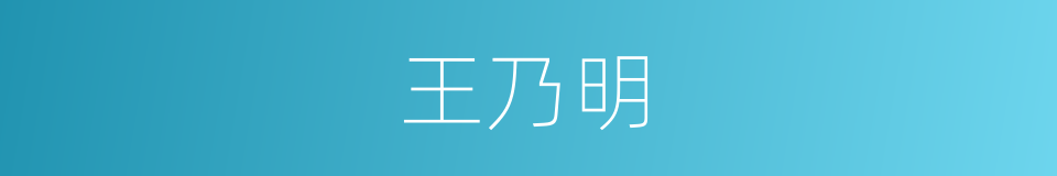 王乃明的同义词