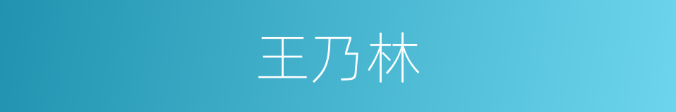 王乃林的同义词