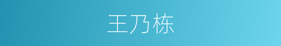 王乃栋的同义词