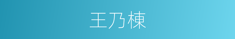 王乃棟的同義詞