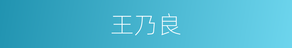 王乃良的同义词