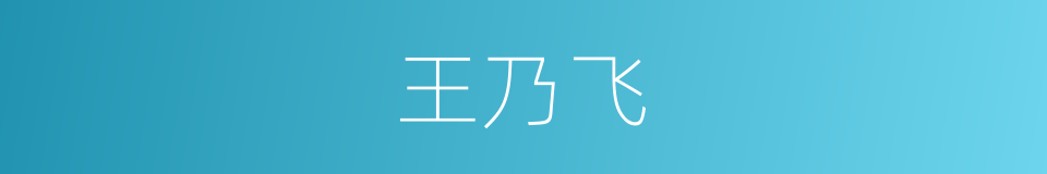 王乃飞的同义词