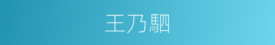 王乃駟的同義詞