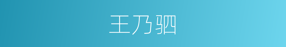 王乃驷的同义词