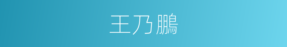 王乃鵬的同義詞