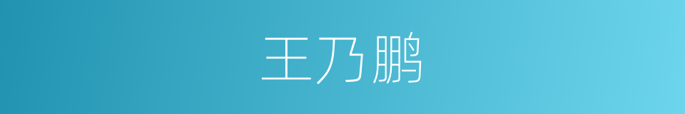 王乃鹏的同义词