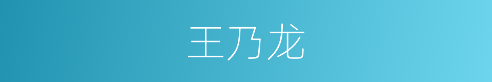 王乃龙的同义词