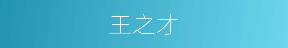 王之才的同义词
