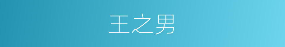 王之男的同义词