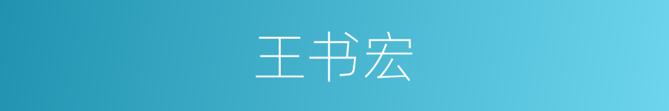 王书宏的同义词